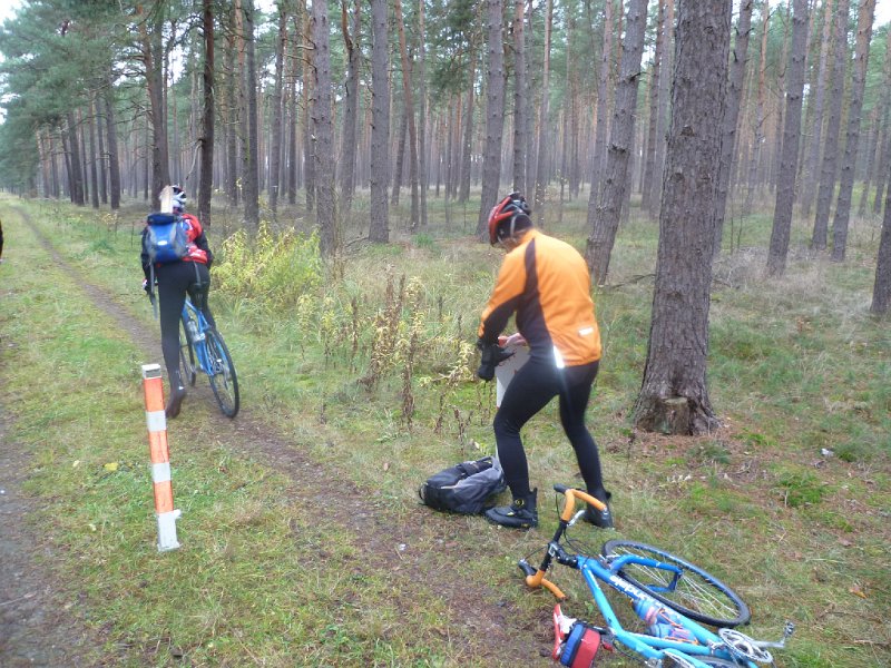 CTF Celle Abschildern Mirco 971